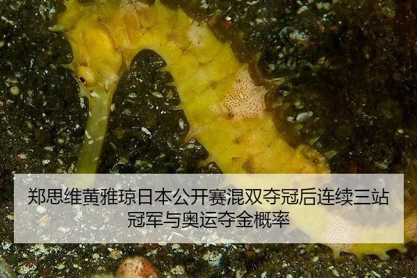 zheng-si-wei-huang-ya-qiong-ri-ben-gong-kai-sai-hun-shuang-duo-guan-hou-lian-xu-san-zhan-guan-jun-yu-ao-yun-duo-jin-gai-3-112.jpg