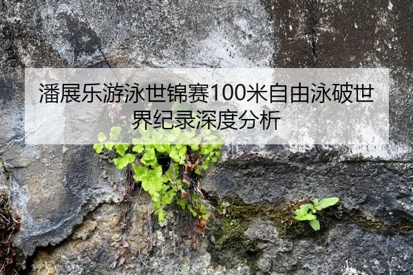 潘展乐游泳世锦赛100米自由泳破世界纪录深度分析
